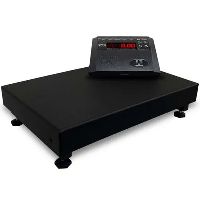 BALANÇA 300KG 50X50 PLATAFORMA AÇO CARBONO REF 2569 RAMUZA